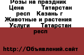 Розы на праздник › Цена ­ 65 - Татарстан респ., Казань г. Животные и растения » Услуги   . Татарстан респ.